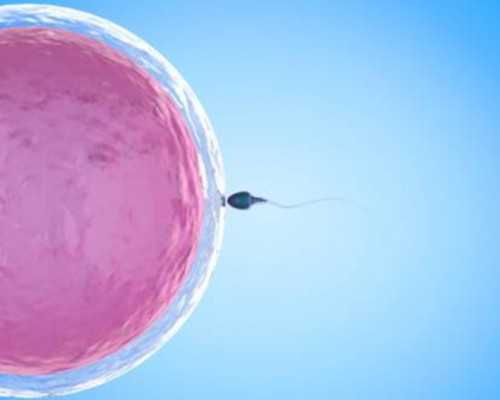 50岁供卵试管卵子的来源&供卵过程大概多久,精子2天还有受孕能力吗（精子像水