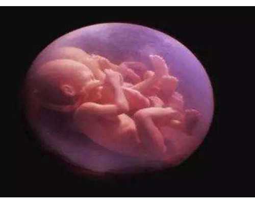 45岁试管促排怎么治疗&供卵排队等多久,我38岁丈夫40岁想生二宝高龄夫妻备孕需