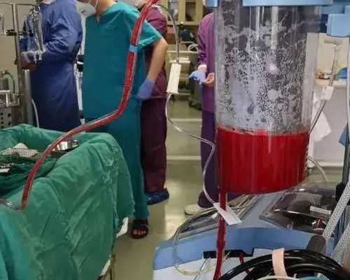 45岁卵巢早衰中医调理&供卵需要多少钱,备孕指南|带你了解HCG：HCG值的高与低（