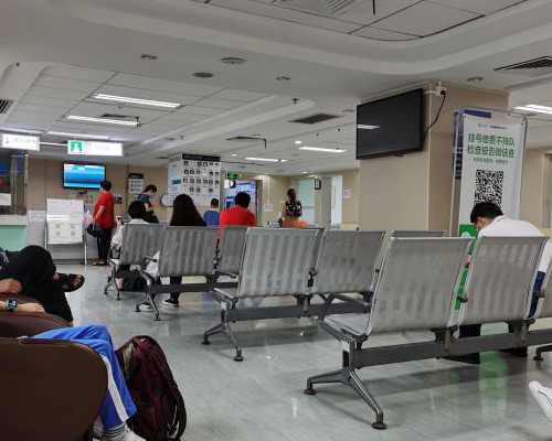 供卵女孩选择注意事项&供卵合法么,经期同房注意事项