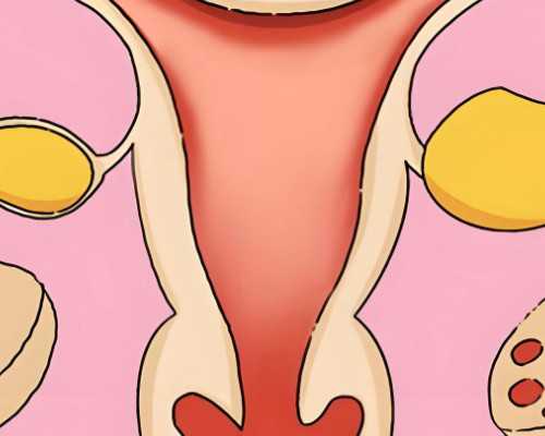 44岁做试管有成功的吗&可以供卵的医院,从昆凌三胎喜讯来深挖高龄男性科学备