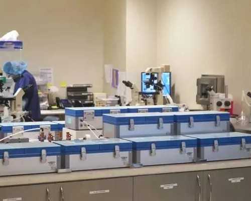 北京哪儿医院有代孕,【焦点】北京供卵试管公司