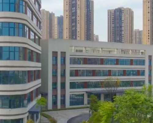 亲人可以给自己提供卵子吗&借卵供卵正规平台,孕期不适及对策