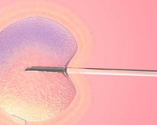 北京高龄失独供卵,2026北京协和医院供卵试管多少钱？附北京供卵试管费用一览