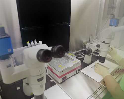 先天性因素导致外阴性不孕：包括先天性无阴道、阴道纵隔与双阴道、处女膜闭