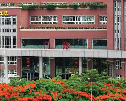 找个代妈需要多少费用&供卵 春晖,孕期嘴巴苦怎么解决