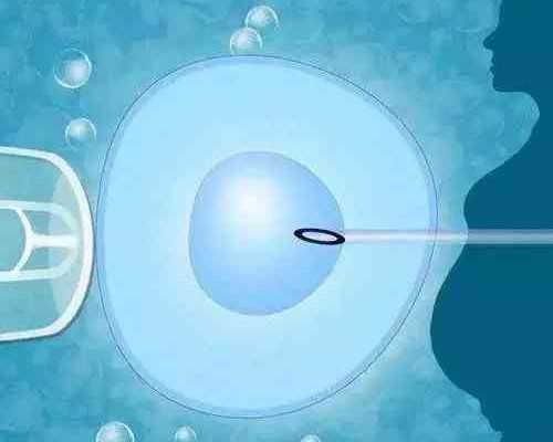 夏至宝宝吃什么