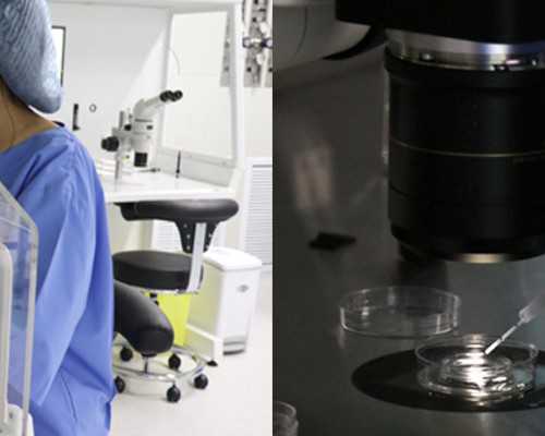 供卵机构 实地考察&供卵试管要花多少钱,专家：孕期水果过量可能得糖尿病