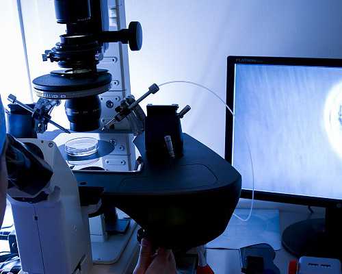 北京代孕机构哪家好,北京试管双胞胎？，北京309医院做试管婴儿助孕一次成功