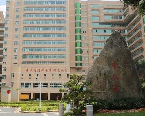 23岁做试管成功率高吗&供卵试管私立医院,打算做试管婴儿我们夫妻双方需要如