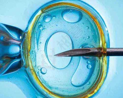 试管婴儿二代性别概率&不孕不育网,备孕期间吃什么食物好 助孕小零食推荐