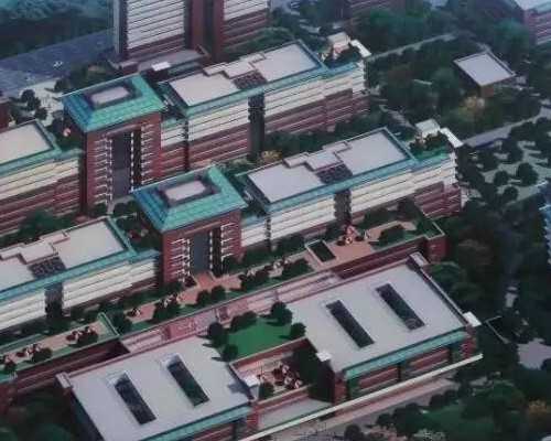 北京试管婴儿的成功率怎么样！北京试管婴儿医院排名最好医生！