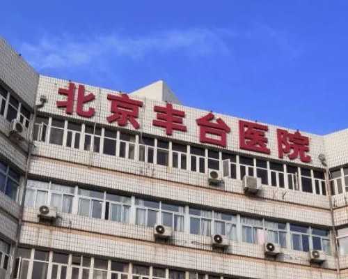 吃什么养卵！2种水果，给线粒体加油充电