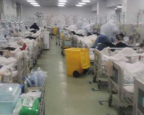 北京借卵子多少钱,北京供卵代孕婴儿费用是多少钱