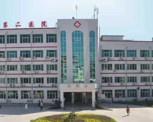 莲子心男性备孕