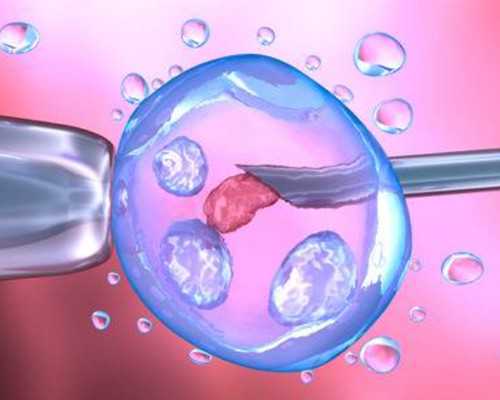 北京哪有供卵机构,北京供卵代孕婴儿排名医院名单