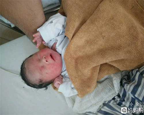 133天，代孕后半段的开始_北京苏州捐卵合法吗