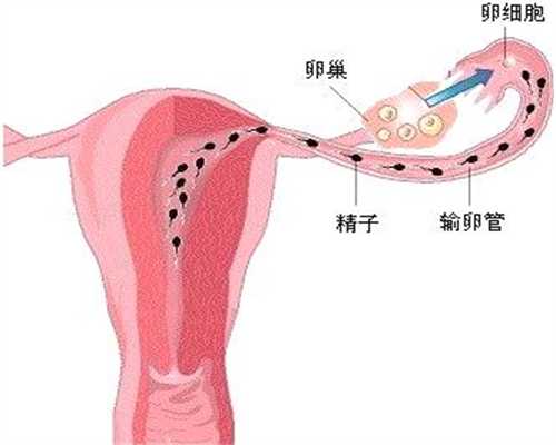 代孕坐月子里那些坑「娘」的禁忌_北京广州捐卵