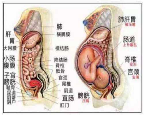 北京代孕包生儿子几多钱_北京代孕北京代孕网