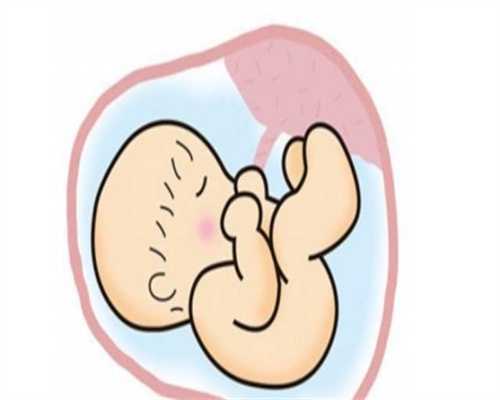 北京代怀孕成功率高_试管孕妇不能吃什么_孕早期