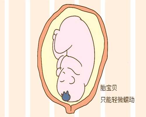 北京代孕产子价格是多少_bl南方国际生殖中心在