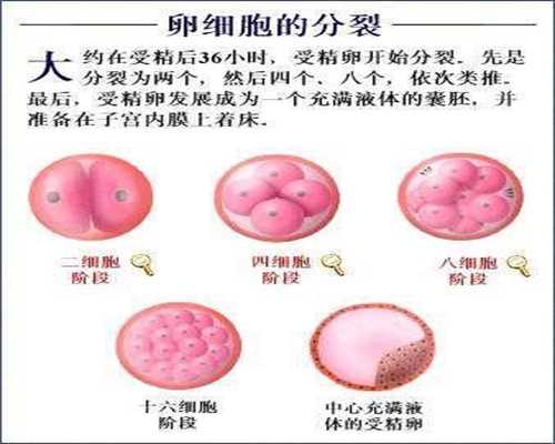 北京代孕医院哪家好_胖代孕怎么控制体重
