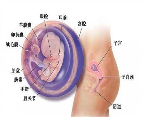 北京代孕产子的流程_42天盆底肌检查怎么做
