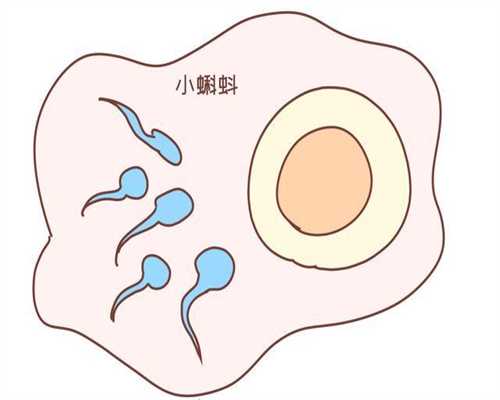 北京公立医院有供卵的吗_北京代孕怎么找