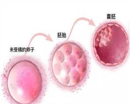 供卵试管婴儿一般15几万_北京供卵助孕机构