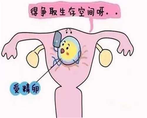 北京供卵代孕_北京代孕包男孩