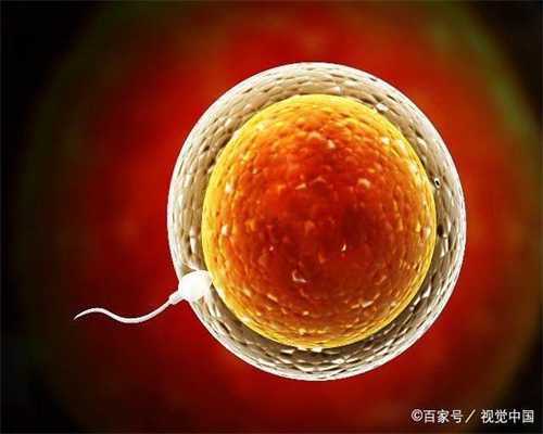 北京国际助孕中心_北京供卵试管咨询电话
