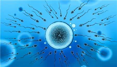 45岁的受孕概率是多少&国内供卵合法吗&精子存活率多少才正常