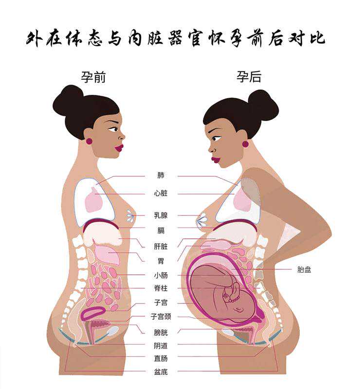 北京弱精症试管成功率_北京有代孕滴女人没_备受推崇的产后瘦肚子神器？束腹