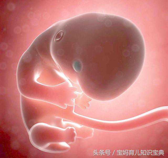 北京供卵试管哪里做比较好_当受精卵成功着床时会有以下这几种感觉，备孕妈