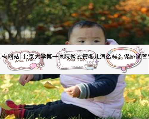 北京代怀机构网站|北京大学第一医院做试管婴儿怎么样？促排试管费用多少？