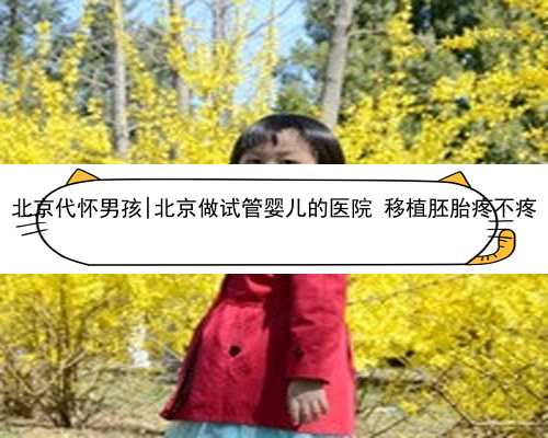 北京代怀男孩|北京做试管婴儿的医院 移植胚胎疼不疼